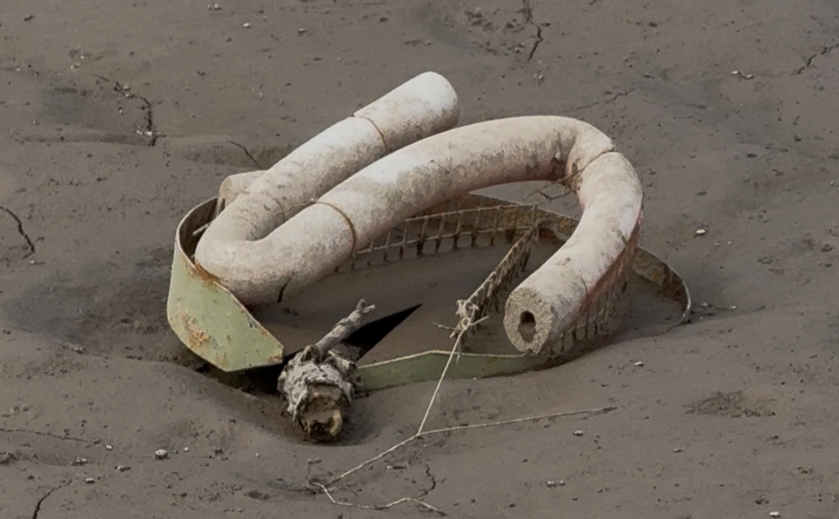 Arte, basura y la ficción de la sustentabilidad en el Festival de Peñas