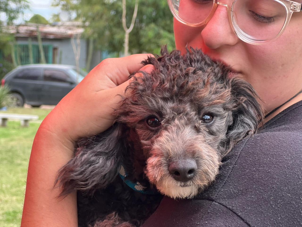 Habrá jornada de vacunación antirrábica este viernes