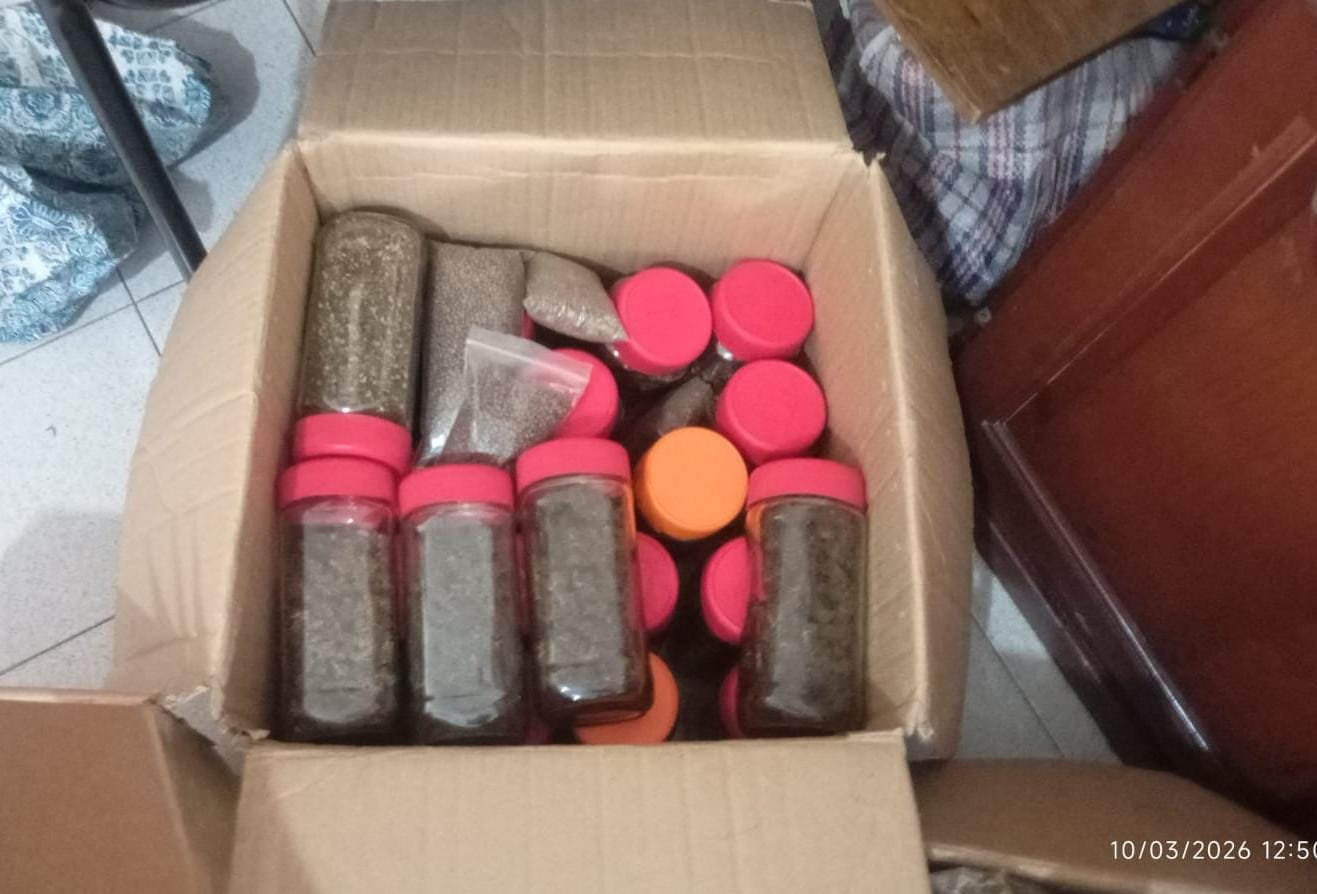 Atentaba contra su vida  y cuando llegaron los policías encontraron una plantación de marihuana