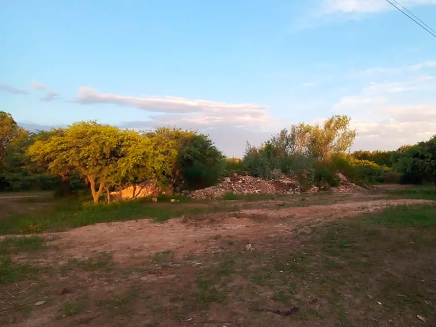 ¿No habrá basural?