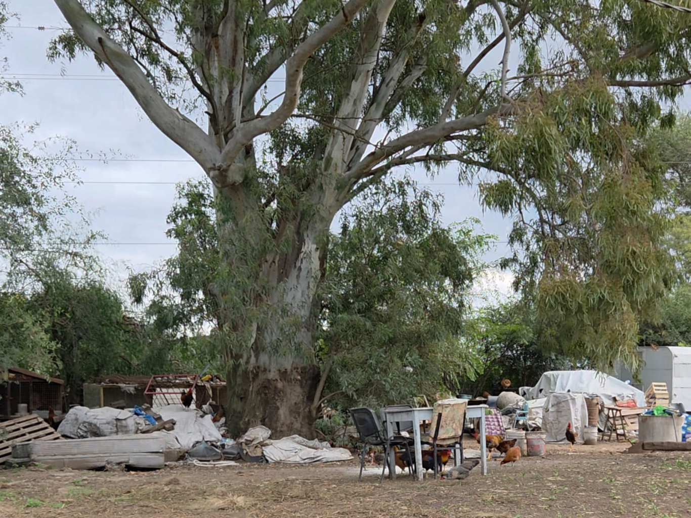 Vecinos de La Arbolada 2 reclaman por el estado de abandono del barrio