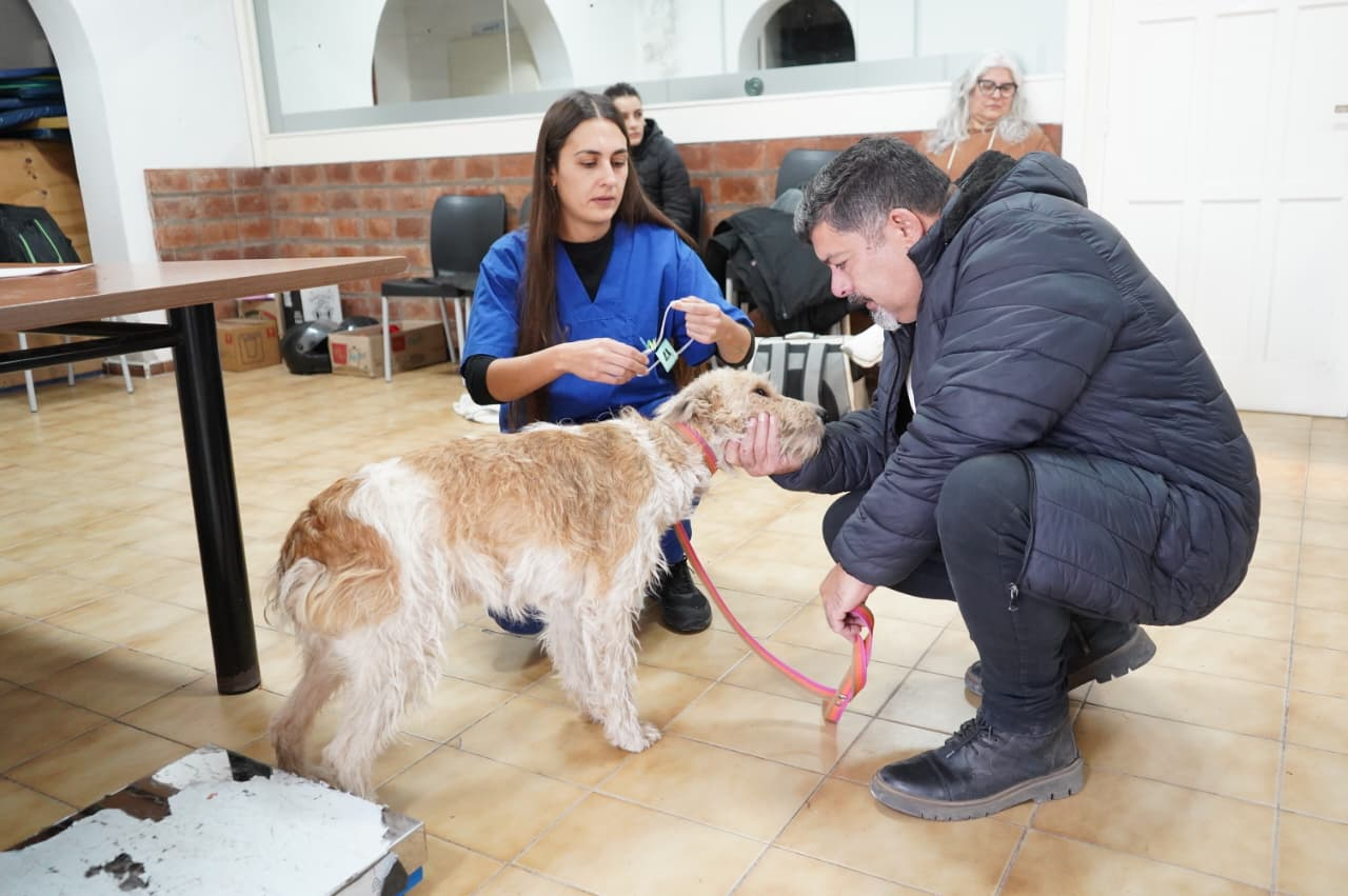 Se realizaron 112 castraciones y aplicaron 173 vacunas antirrábicas