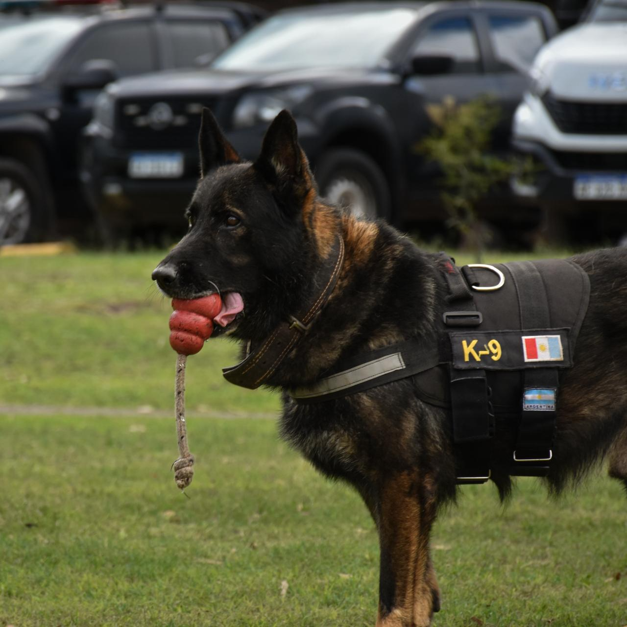 Se retiró el ovejero alemán de la FPA tras casi ocho años de servicio