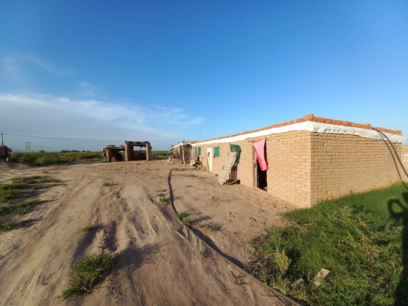 A un día de la desaparición de Liam: crónica de una búsqueda