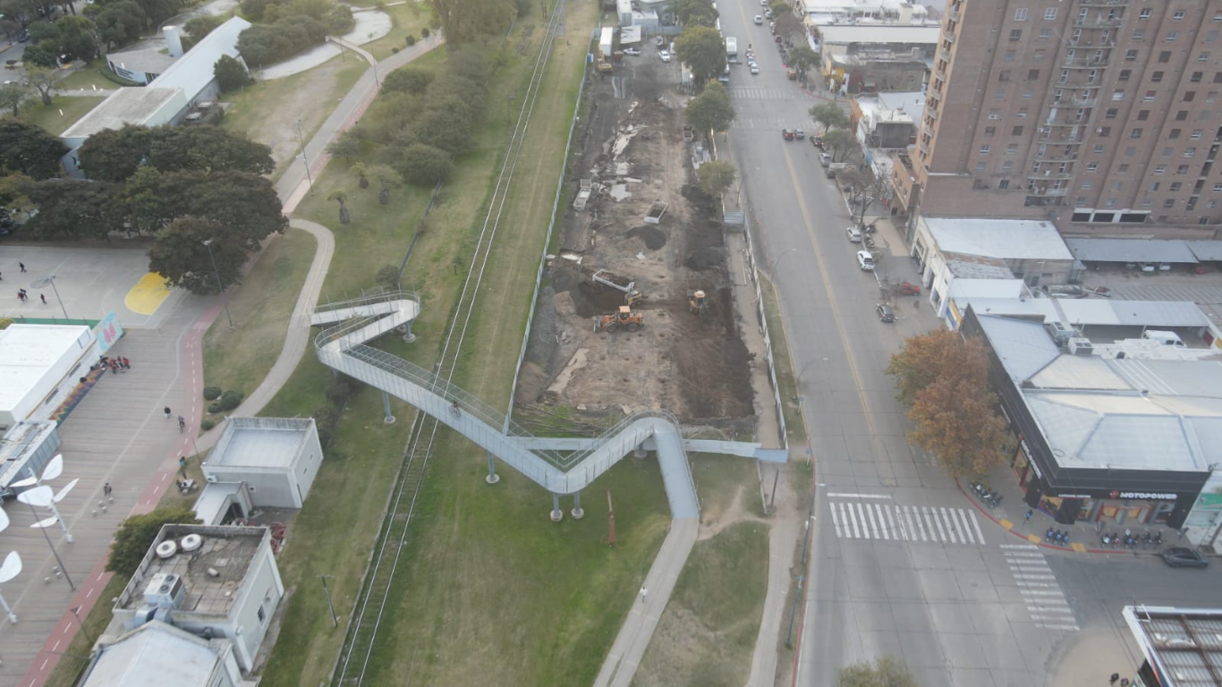 Los lapachos “interferían en la construcción”