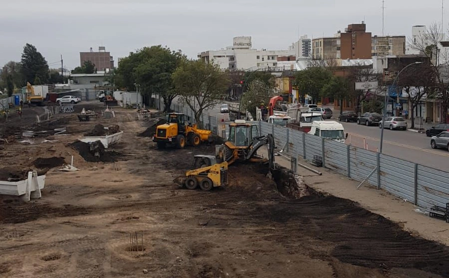 “Los primeros árboles que quitaron han sido cortados y eliminados”