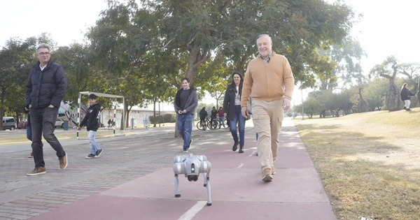 ¿Más protección animal o más burocracia?
