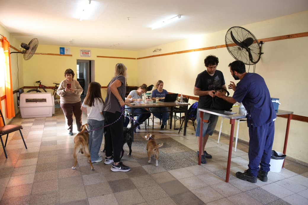 Continúa la campaña de vacunación antirrábica
