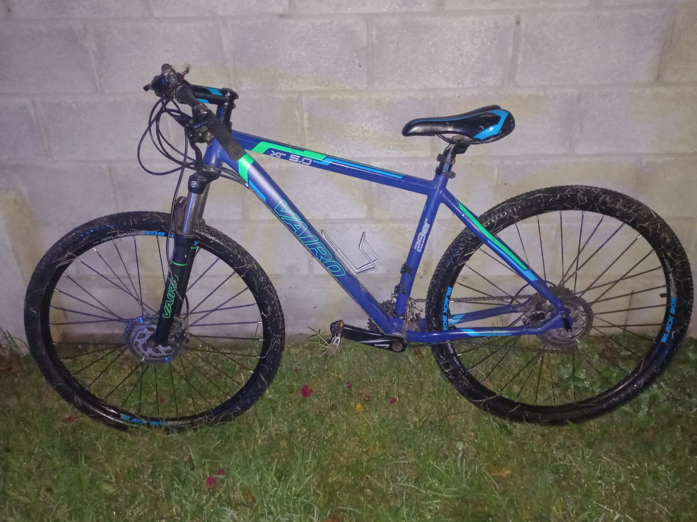 Levantaportones fueron detenidos en barrio Parque Norte por robar en el centro